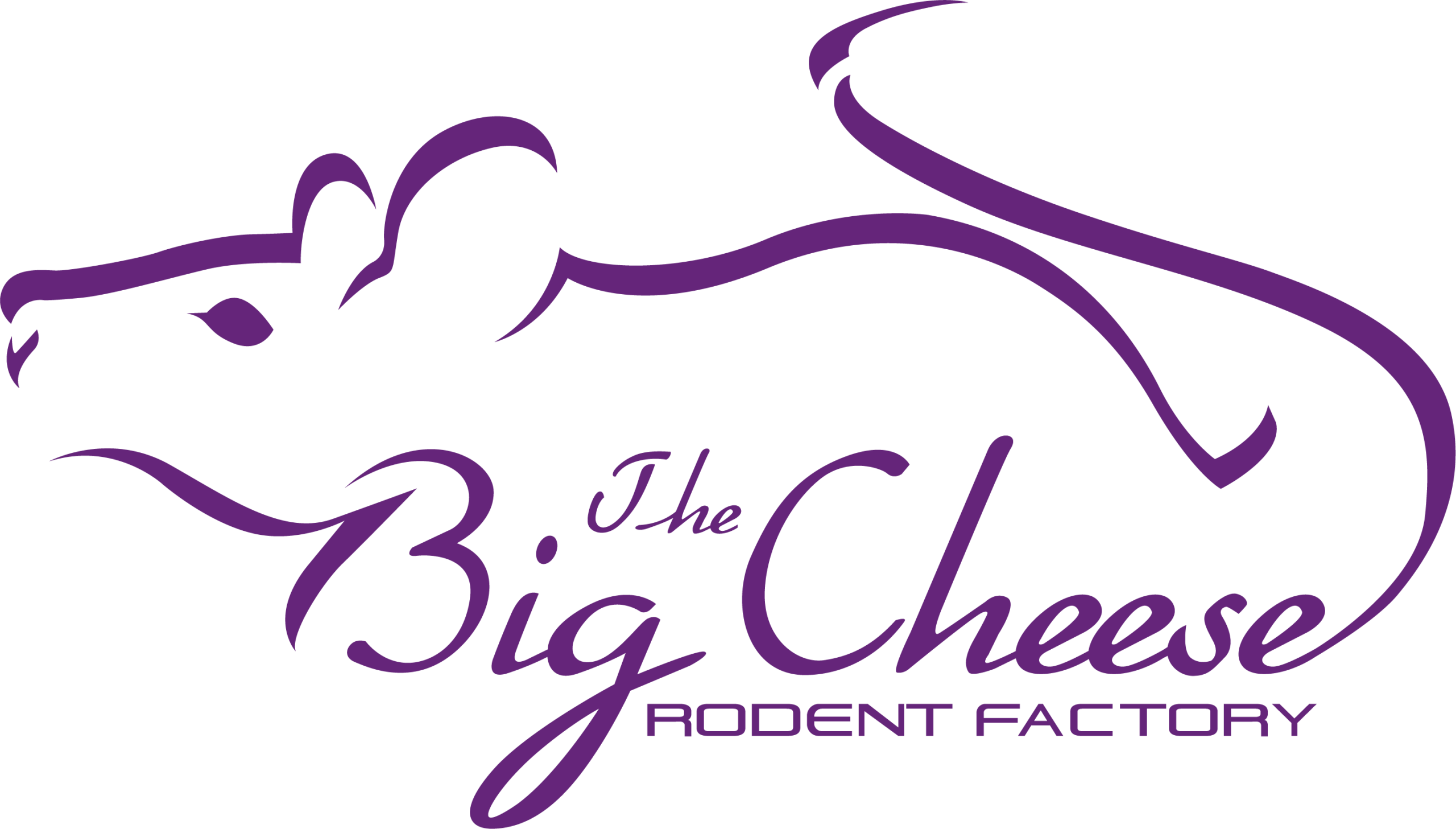 bigcheese-logo