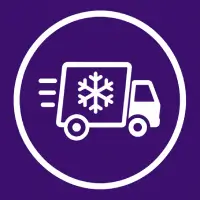 Snowflake Icon